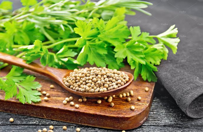 Coriander seeds