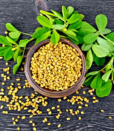 Fenugreek seed and leaves