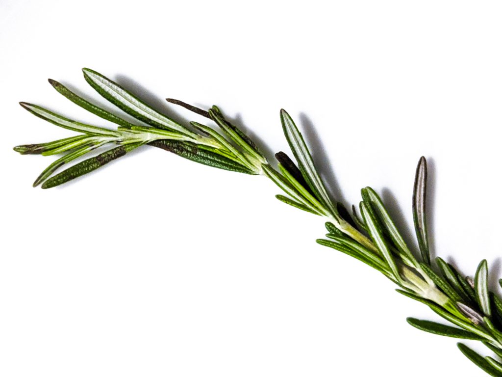 Rosemary