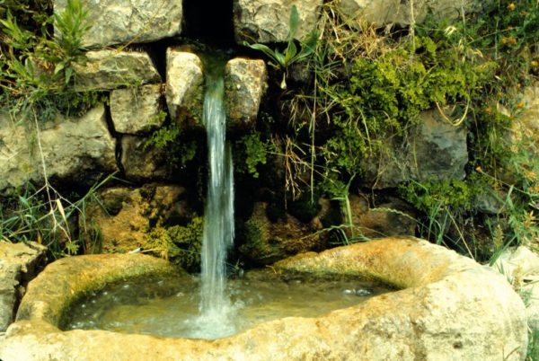 Local Spring Water Sources: A Precious Natural Resource - Century ...