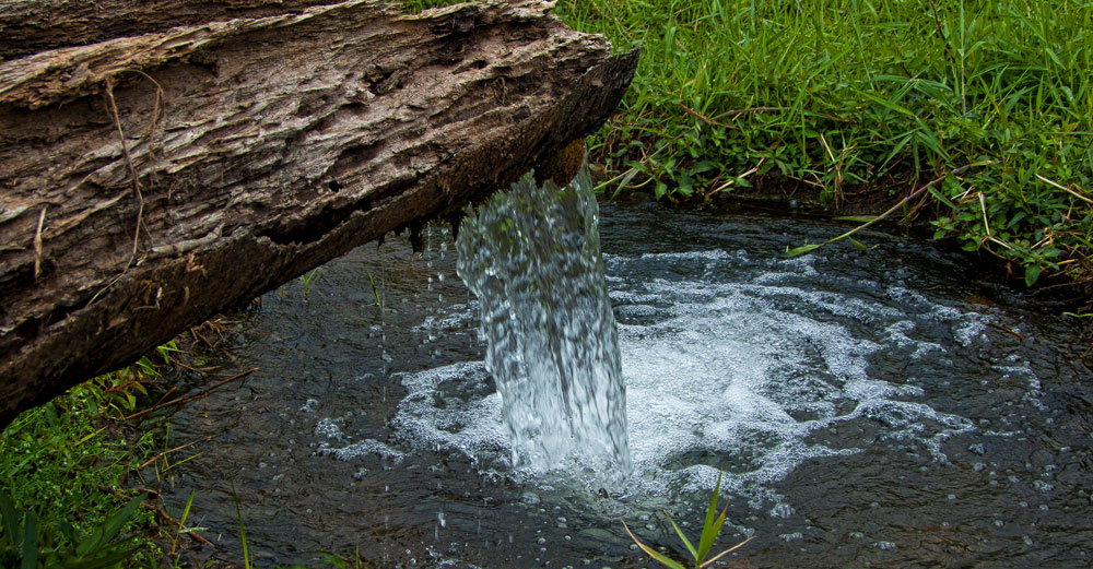 Himalayan Spring Water
