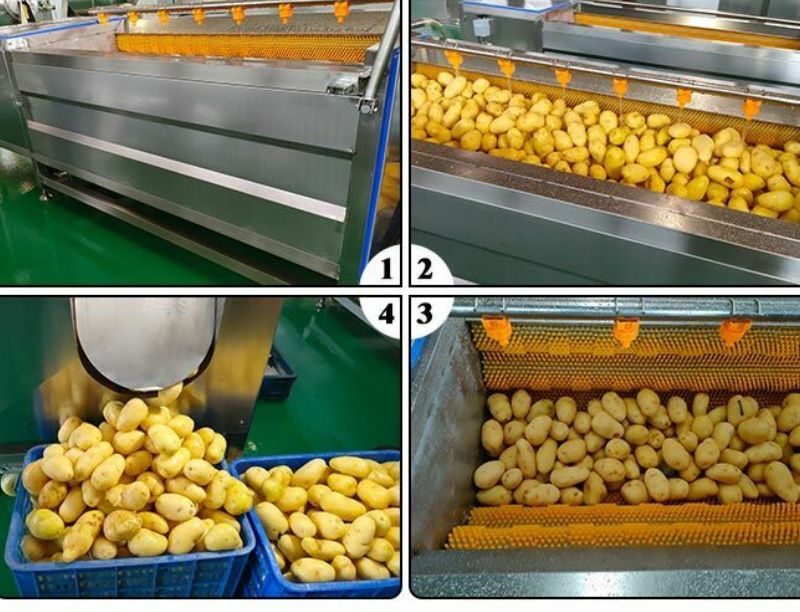 Potato Washing And Peeling